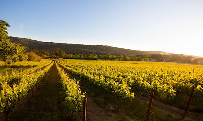 Annadel Estate Winery