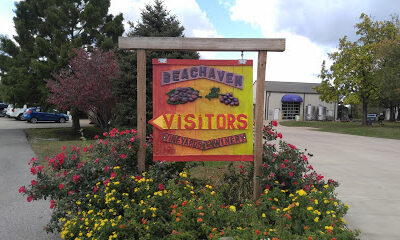 Beachaven Vineyards & Winery