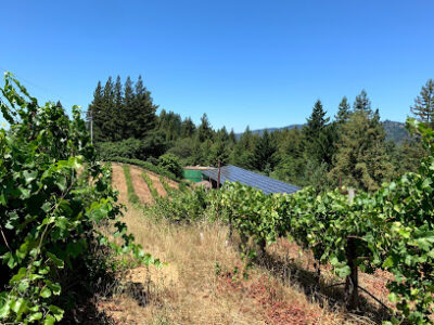 Byington Vineyard & Winery