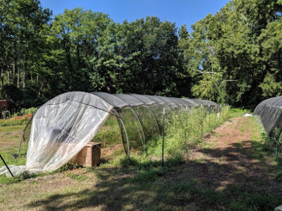 Eze Farms