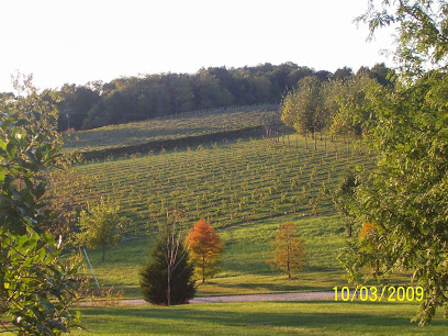 Lower Byrd Farm and Vineyards