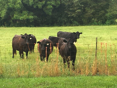 Haddon Family Farms