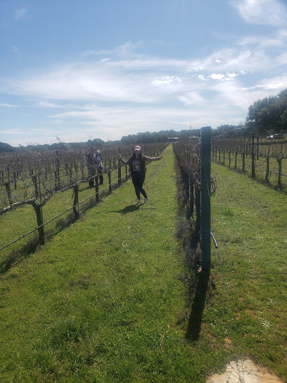 Texas Hills Vineyard