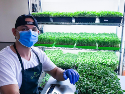 Life On The Grow - Microgreens Las Vegas