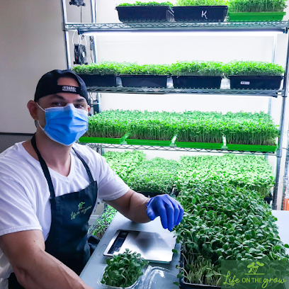 Life On The Grow - Microgreens Las Vegas