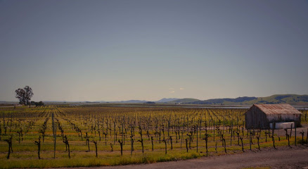 Ricci Vineyards | Carneros