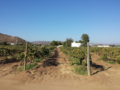 Bodegas Entrevez