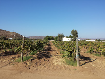 Bodegas Entrevez