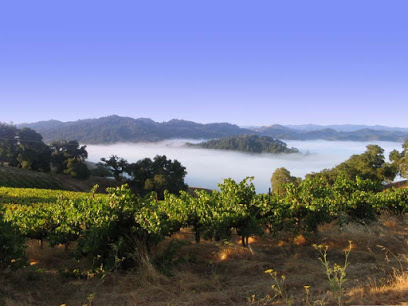 Le Vin Winery