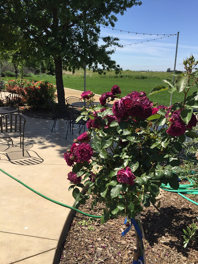 Julietta Winery
