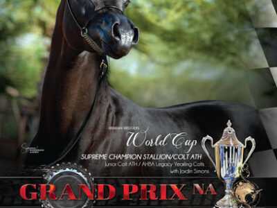 Grand Arabian Farm