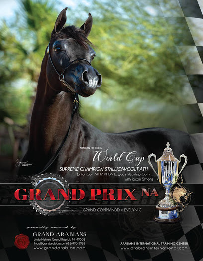 Grand Arabian Farm
