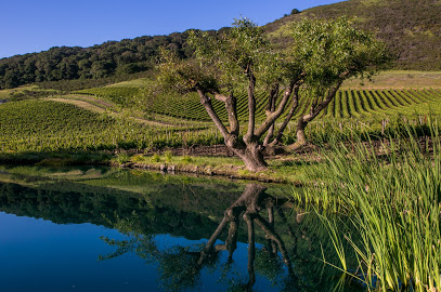 Schug Carneros Estate Winery
