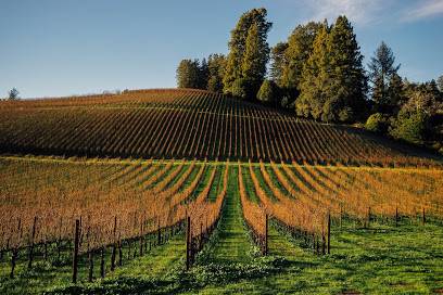 Ernest Vineyards