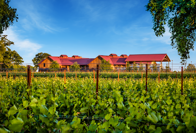 Oak Farm Vineyards