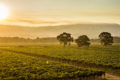 RIVINO Winery