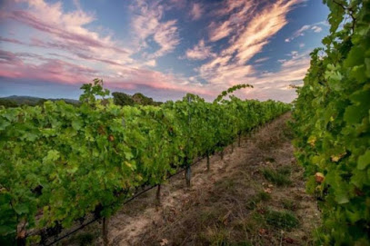 Calluna Vineyards