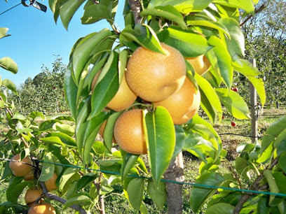 Weymouth Farms & Orchard, Winery