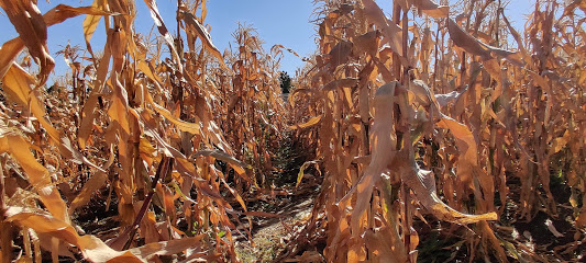 Beebe Farms