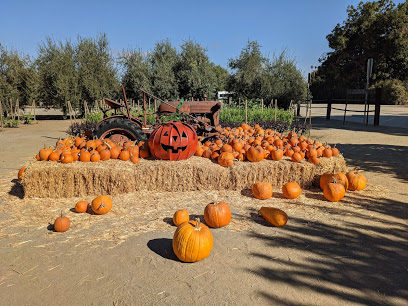 Vista Ranch