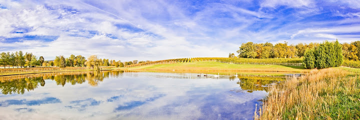 Keswick Vineyards
