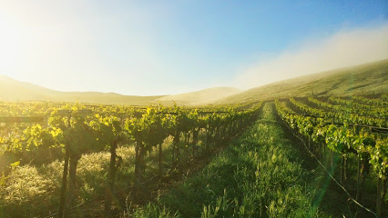 Cambria Winery