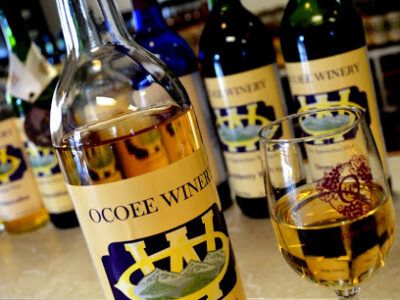 Ocoee Winery Inc.
