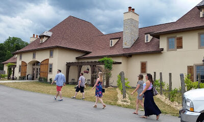 Magnus Ridge Winery