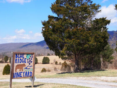 Blue Ridge Vineyard