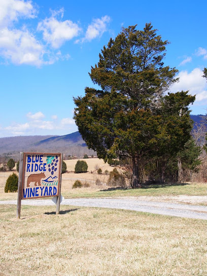 Blue Ridge Vineyard