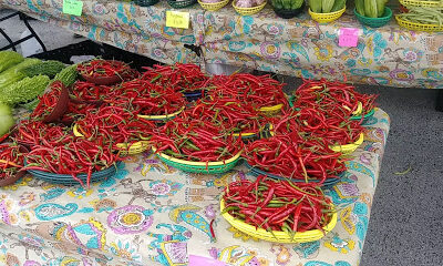 Greater Springfield Farmers' Market