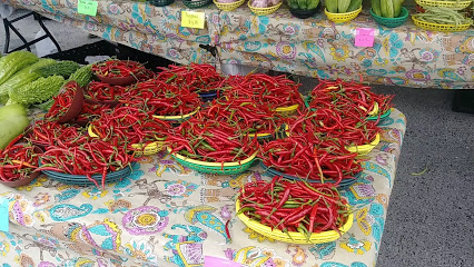 Greater Springfield Farmers' Market