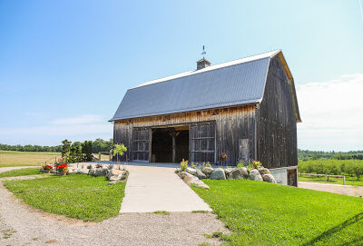 French Valley Vineyard