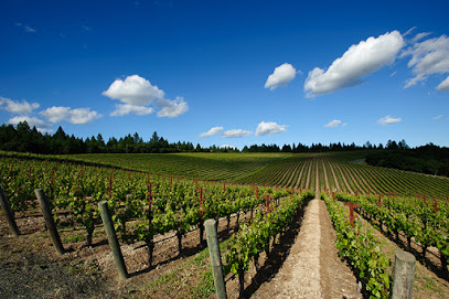 Artisan Excursion Wine Tours
