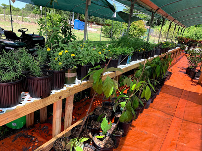 Polk County Farmers Market