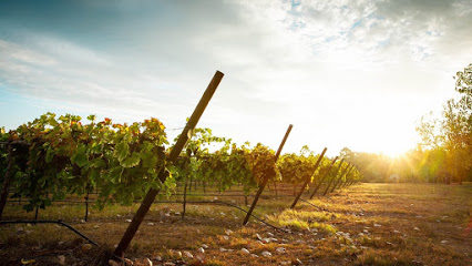 Kiepersol - The Grand Room, Winery, Distillery Tasting Room & Vineyard
