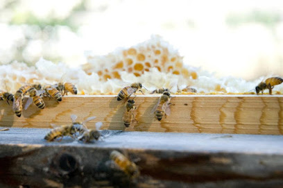 The Honey Jar