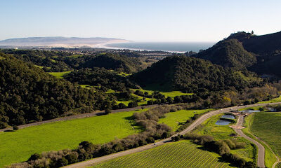 San Luis Obispo Coast Wine Collective