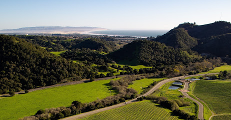 San Luis Obispo Coast Wine Collective