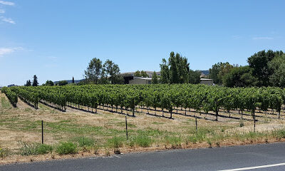 Bonneau Wines LLC