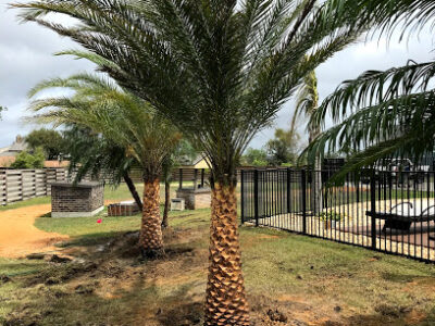 Calo Nursery & Landscape