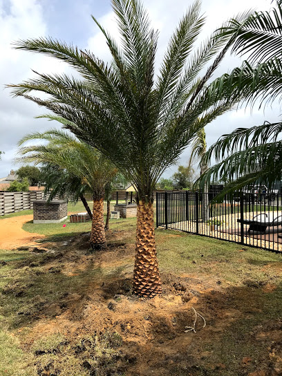 Calo Nursery & Landscape