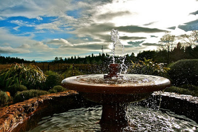 Spence Vineyards
