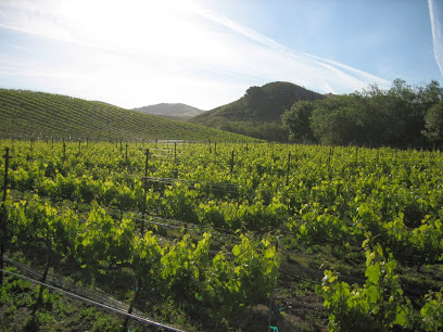 Bassetti Vineyards