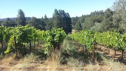 Baiocchi Family Vineyards