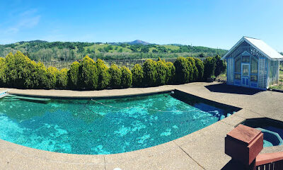 Linde Vineyards
