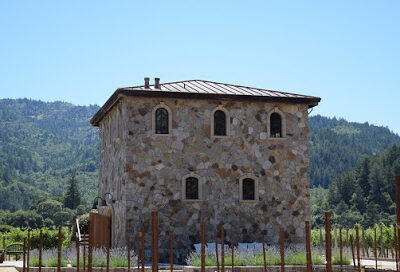 Anomaly Vineyards