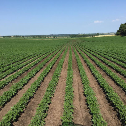 Organic Farms Pantry