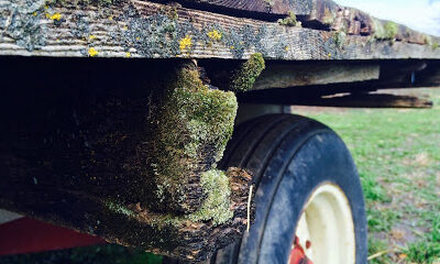 Stones Throw Farm