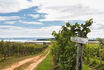 Blomidon Estate Winery